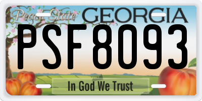 GA license plate PSF8093