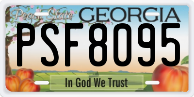 GA license plate PSF8095