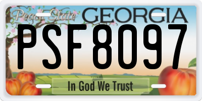 GA license plate PSF8097