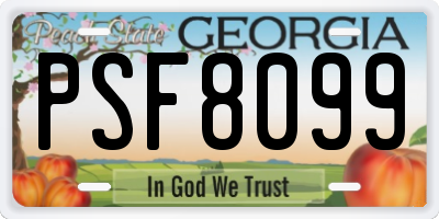 GA license plate PSF8099