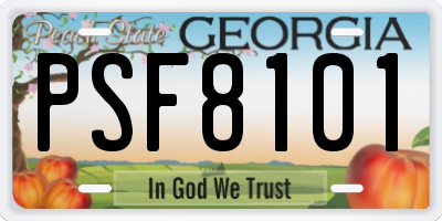 GA license plate PSF8101