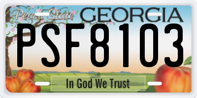 GA license plate PSF8103