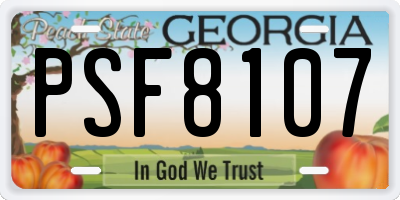 GA license plate PSF8107
