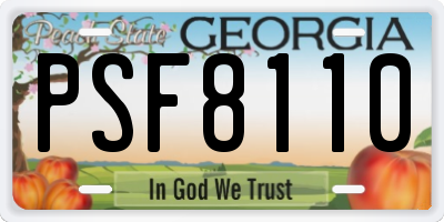 GA license plate PSF8110
