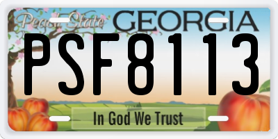 GA license plate PSF8113