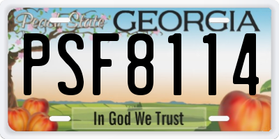 GA license plate PSF8114