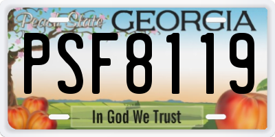 GA license plate PSF8119