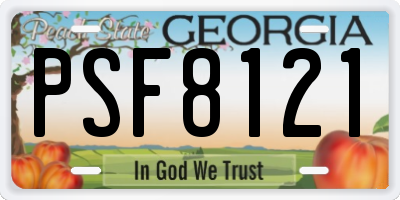 GA license plate PSF8121