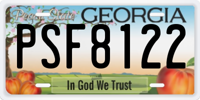GA license plate PSF8122