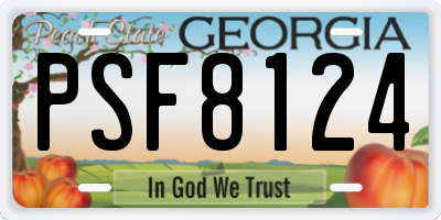 GA license plate PSF8124