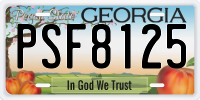GA license plate PSF8125