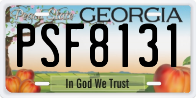GA license plate PSF8131