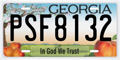 GA license plate PSF8132