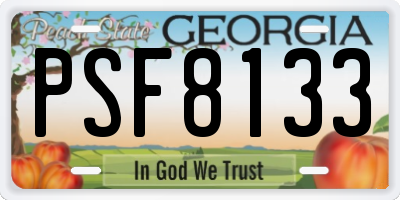 GA license plate PSF8133