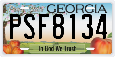 GA license plate PSF8134