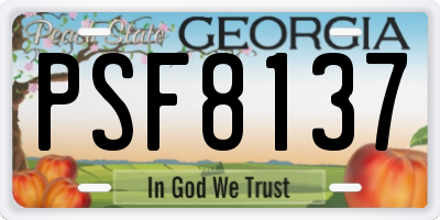 GA license plate PSF8137