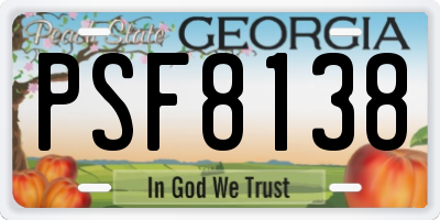 GA license plate PSF8138