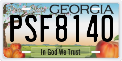 GA license plate PSF8140