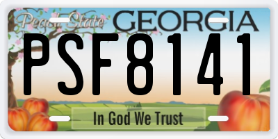 GA license plate PSF8141