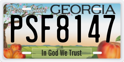 GA license plate PSF8147