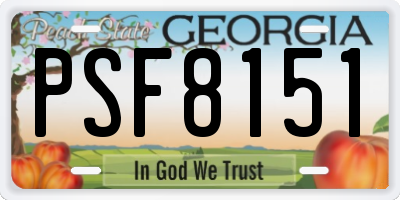 GA license plate PSF8151