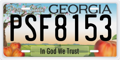 GA license plate PSF8153