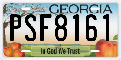 GA license plate PSF8161
