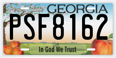 GA license plate PSF8162
