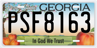GA license plate PSF8163