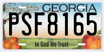 GA license plate PSF8165