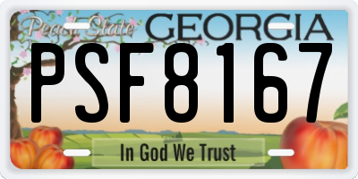 GA license plate PSF8167