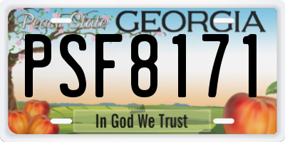GA license plate PSF8171