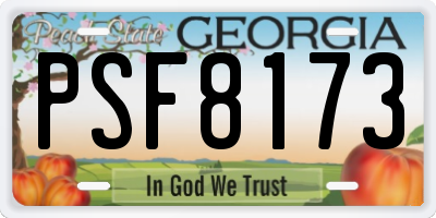 GA license plate PSF8173