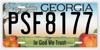 GA license plate PSF8177