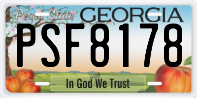 GA license plate PSF8178