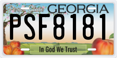 GA license plate PSF8181