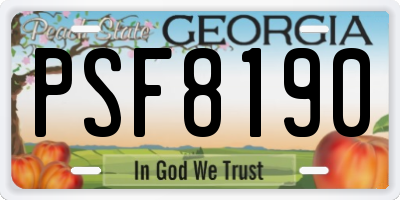 GA license plate PSF8190