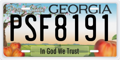 GA license plate PSF8191