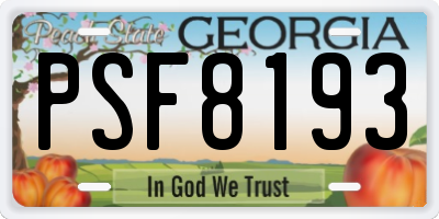 GA license plate PSF8193