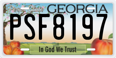 GA license plate PSF8197