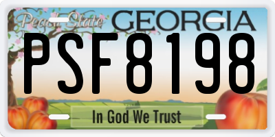 GA license plate PSF8198