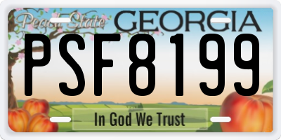 GA license plate PSF8199