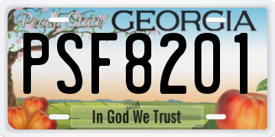 GA license plate PSF8201