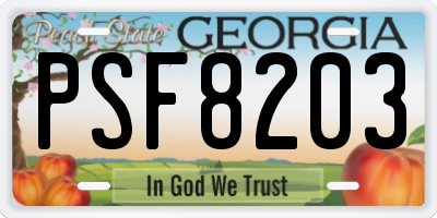 GA license plate PSF8203
