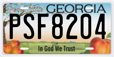 GA license plate PSF8204