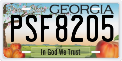 GA license plate PSF8205