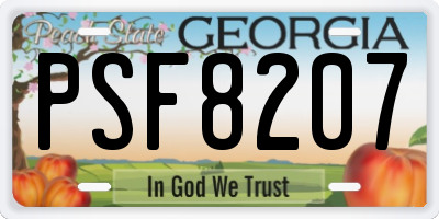 GA license plate PSF8207