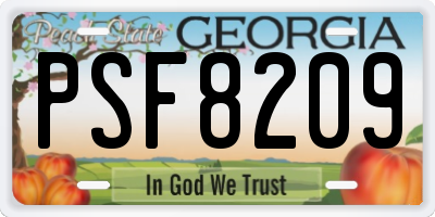 GA license plate PSF8209