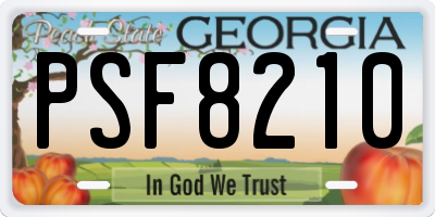GA license plate PSF8210