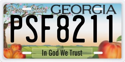 GA license plate PSF8211